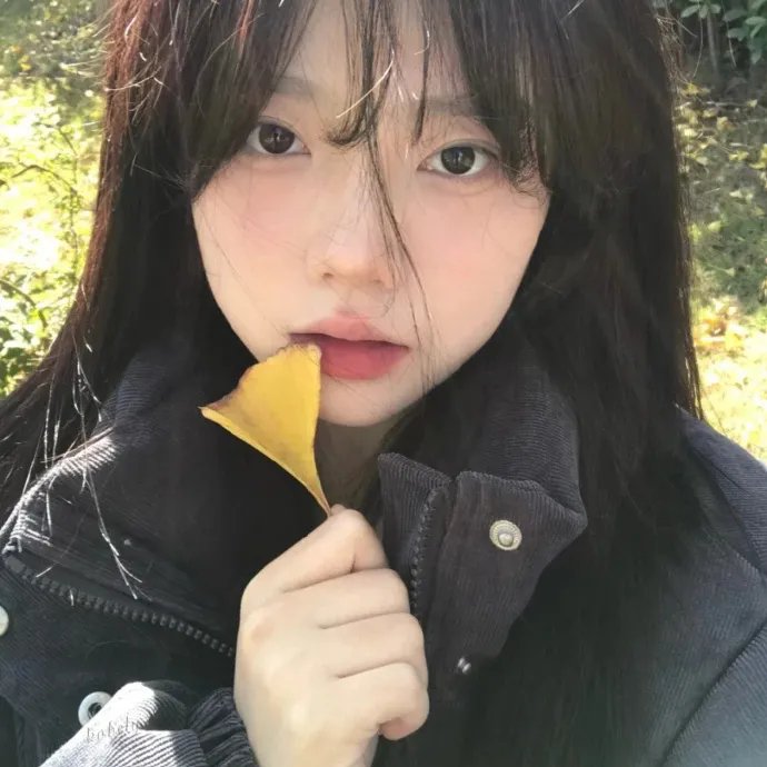 男极探射灯