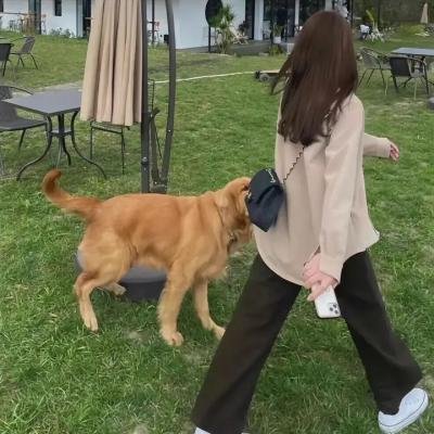 死党老窦系冤家